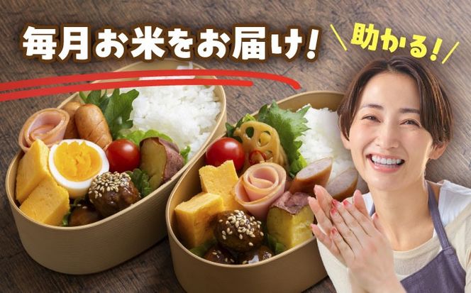 【3回定期便】にこまる　白米　10kg　お米　ご飯　愛西市／株式会社戸倉トラクター[AECS061]