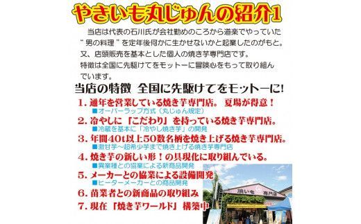 焼き芋 冷凍 冷やし焼き芋 シャリシャリちゃん 1kg(100g×10) 紅はるか＆シルクスイート　H047-059