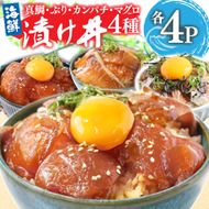 【CF-R7hbk】漬け丼 4種 海鮮丼 海鮮丼セット 真鯛 ブリ カンパチ マグロ 漬け丼セット 80g×各4P 計16P 海鮮 漬け お茶漬け 鯛 ぶり 鰤 かんぱち まぐろ 鮪 冷凍 小分け パック ご飯 晩御飯 惣菜 刺身 高知県 