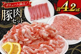 豚肉 宮崎県産豚肉 4.2kg 詰め合わせ セット [TRINITY 宮崎県 日向市 452061326] 小分け 豚 肉 宮崎 ロース スライス 豚バラ とんかつ 切り落とし ミンチ 豚ミンチ ひき肉 真空パック