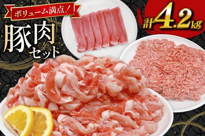 豚肉 宮崎県産豚肉 4.2kg 詰め合わせ セット [TRINITY 宮崎県 日向市 452061326] 小分け 豚 肉 宮崎 ロース スライス 豚バラ とんかつ 切り落とし ミンチ 豚ミンチ ひき肉 真空パック