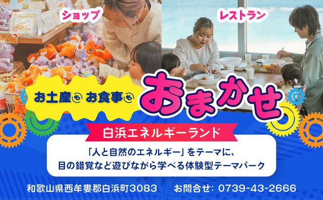 白浜エネルギーランド 小中学生 入館券 1名 304018_W005