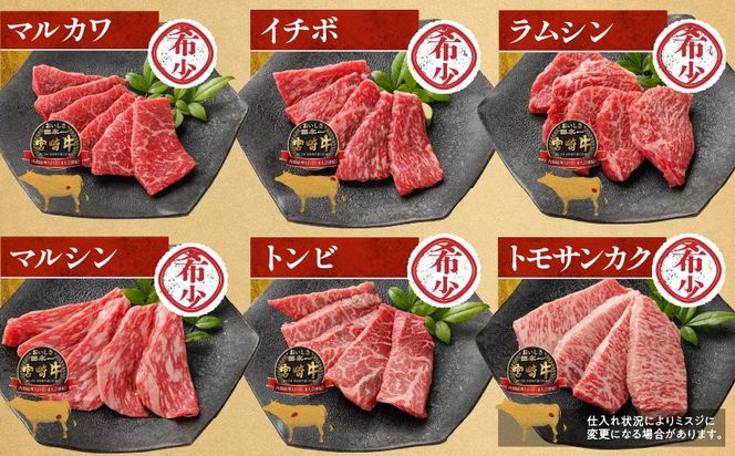宮崎牛食べ比べ10種盛り焼肉セット_17-3102