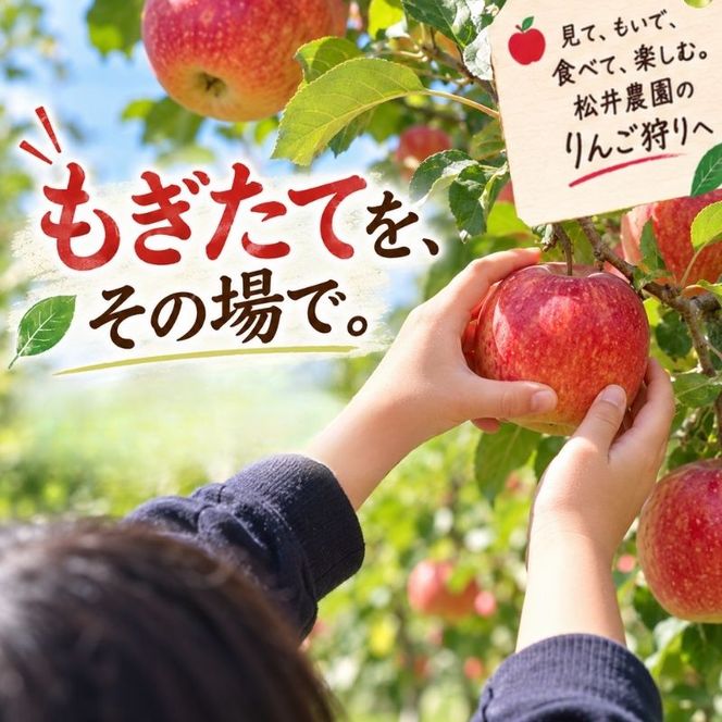 長野県下最大級 りんご狩り体験 りんご狩り発祥園 体験チケット 環境 優しい 安心 安全 こだわり 低農薬 有機肥料 循環型 定番 オリジナル 新品種　 