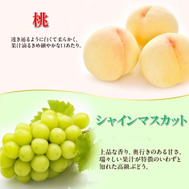 2026年 早期受付 岡山県産 桃 (約250g×2玉)・シャインマスカット(約500g×1房) 詰合せ 桃 シャインマスカット 果物 フルーツ