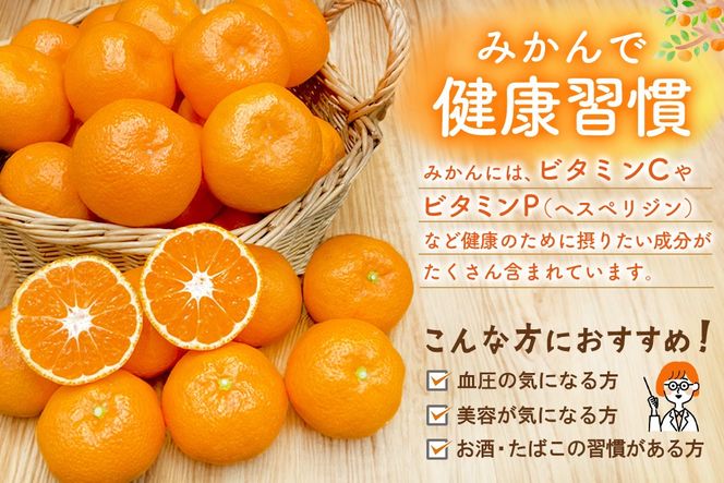 【令和7年11月下旬より発送】佐賀温州みかん(1箱 4.5kg)【フルーツ 佐賀 佐賀県産 早生みかん 温州みかん ギフト 贈答 プレゼント】 (H072107)