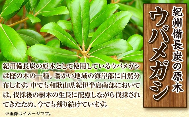 【炊飯・飲料水用】紀州備長炭8本入り 望商店 《30日以内に出荷予定(土日祝除く)》 和歌山県 日高川町 備長炭 紀州備長炭 炭 炊飯 飲料---wshg_nzm13_30d_23_12000_8h---