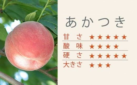 あかつき 約3kg 7～12玉 ［小布施屋］ 桃 もも モモ フルーツ 果物 令和7年産 【2025年7月末頃～8月上旬発送】 ［A-4］