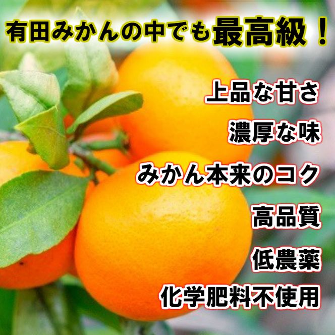 BD7005_【2026年先行予約】有田の高級みかん【田村みかん】秀品！たっぷり 10kg ギフトにもオススメ (S～Lサイズおまかせ)