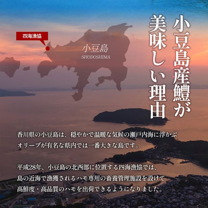 【 小豆島 】 小豆島産 鱧 100％使用！小豆島鱧すり身250g×3袋セット 加工食品 魚 すり身 ハモ ミンチ 香川 香川県 土庄 土庄町