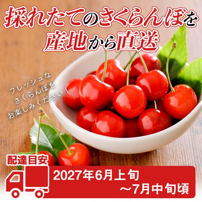FYN6-609 ≪2027年先行予約≫山形県産 品種おまかせ さくらんぼ(佐藤錦・紅秀峰など) 400g 秀品 L以上 バラパック詰め 2027年6月中旬から順次発送 果物 くだもの フルーツ サクランボ チェリー 贈答 贈り物 ギフト プレゼント 自宅 家庭 産地直送 山形県 西川町 月山