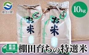 ★令和7年度産★【新米】特選米10kg　天日干し 精米済 山梨県富士川町産 棚田米 お米 こしひかり コシヒカリ 平林