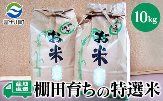 ★令和7年度産★【新米】特選米10kg　天日干し 精米済 山梨県富士川町産 棚田米 お米 こしひかり コシヒカリ 平林