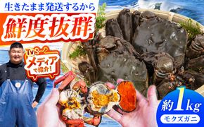 【先行予約】【2026年11月下旬以降順次発送】新鮮 活モクズガニ 1kg (5〜12杯前後) オス メス セット《築上町》【明青丸】 蟹 カニ カニ味噌[ABCB005]