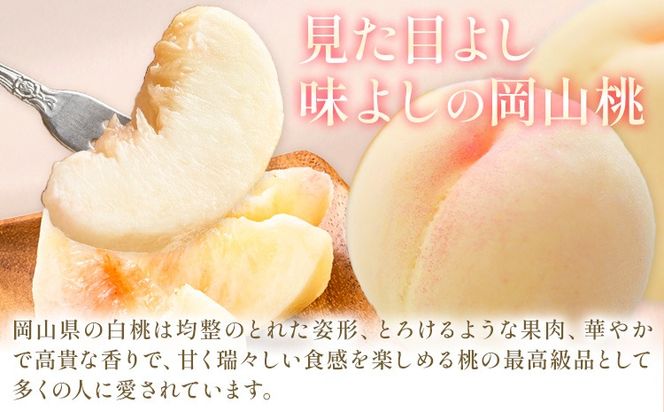 【2026年発送先行予約】 桃 3ヶ月 定期便 岡山 の 桃 3種 食べ比べ 各1kg 計3kg 晴れの国おかやま館(漂流岡山)《2026年7月中旬-9月中旬頃出荷》岡山県 笠岡市 桃 もも 果物 フルーツ デザート 送料無料【配送不可地域あり】（離島）---H-49_2026---