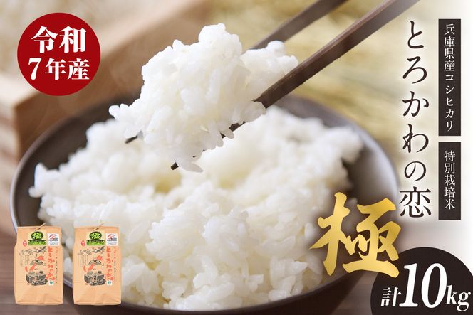 【兵庫県香美町産コシヒカリ】【令和7年産「とろかわの恋（極）」10kg（5kg×2）】 香美町産 但馬堆肥米 お米 白米 令和7年産 ふるさと納税 おすすめ 返礼品 兵庫県 香美町 香住 アグリクロード村岡 13-01