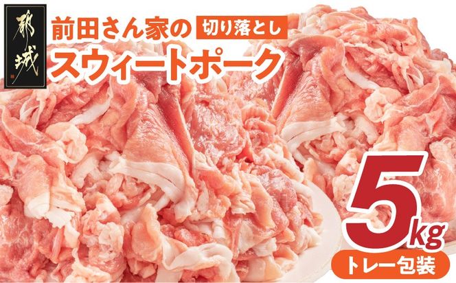 y{茧sszuOcƂ̃XEB[g|[Nv؂藎Ƃ5kg_17-8907