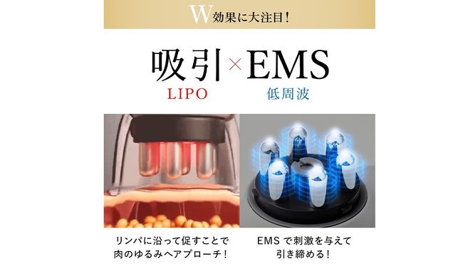 WAVEWAVE EMSスリムエステ EMS 痩身 エステ 美容 健康 引き締め 赤色LED 誕生日プレゼント プレゼント 誕生日 [AG233-NT]