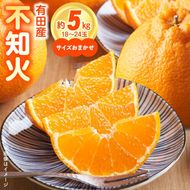 ZN6002n_【2027年先行予約】和歌山県有田産 不知火 5kg ひとつひとつ手選別で厳選！生産者から直送