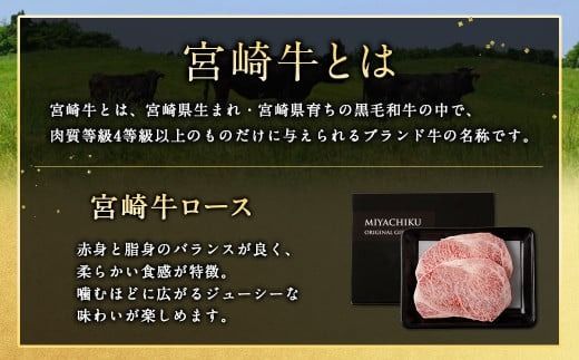 ＜宮崎牛 ロースステーキ 2枚 500g＞1か月以内に順次出荷【c1191_mc_x1】