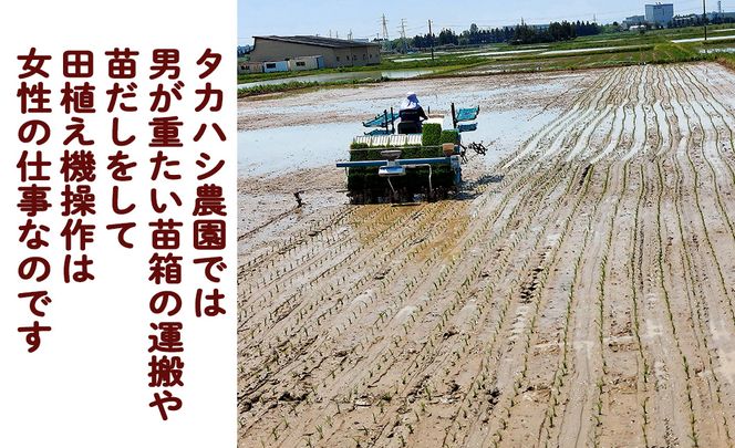 ＜令和8年産予約受付＞【6ヶ月定期便】 銀河のしずく 厳選プレミアム（減農薬・減化学肥料）10kg 【2019】