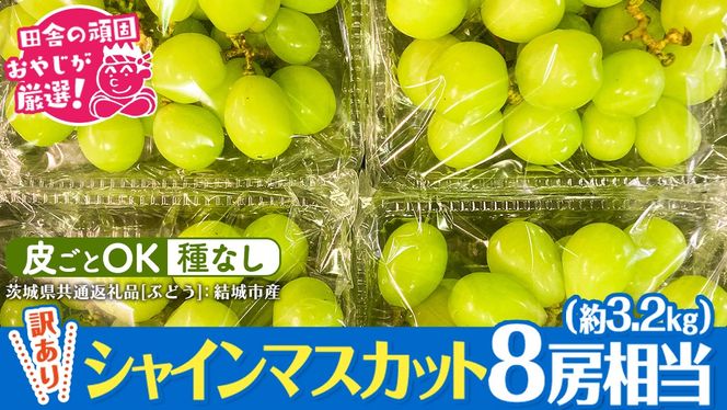 【2026年9月より発送開始】 【 訳あり 】 シャインマスカット 8房相当（約3.2kg） 田舎の頑固おやじが厳選！（茨城県共通返礼品 [ぶどう]：結城市産）果物 フルーツ 不揃い わけあり 先行予約 家庭用 フルーツ ブドウ 果物 ぶどう シャイン マスカット くだもの 先行予約[BI209-NT]