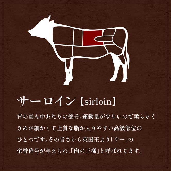 【和牛セレブ】能登牛 サーロインステーキ 240g お肉ギフト専門店 石川県 能美市 172111_DB001