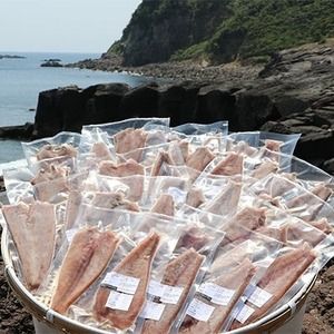 ＜訳あり＞枕崎からの贈り物 かつおの腹皮＜合計3Kg(12～16パック)＞ A3-47【1166527】_訳あり 鰹節 かつお 腹皮 枕崎 魚介 海鮮 美味しい 人気 送料無料