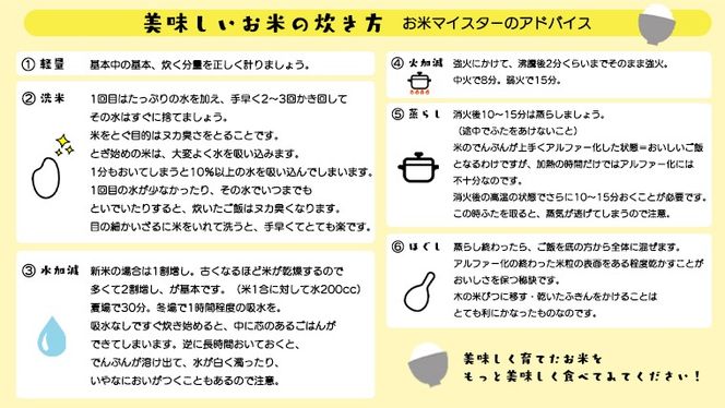 【 定期便 6ヶ月 】 茨城県 筑西市産 コシヒカリ 10kg ( 5kg × 2袋 ) 令和7年産 新米 三ツ星 マイスター 米 コメ コシヒカリ こしひかり 茨城県 単一米 精米 新生活 応援 [CH009ci]