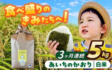 【3回定期便】 あいちのかおり　白米　5kg　お米　ご飯　愛西市／株式会社戸倉トラクター[AECS004]