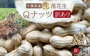【先行受付・9月中旬より順次発送！】【訳あり】Qナッツ 生落花生 1kg SMAH015