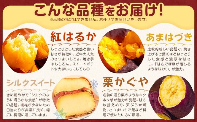 茨城県産 さつまいも こだわり農家の訳ありさつまいも 茨城県結城市産 サイズ不選別 品種おまかせ 選べる 約5kg 約10kg 《1月上旬-3月上旬頃出荷》茨城県 結城市 ご家庭用 お芋 訳あり 紅はるか シルクスイート あまはずき 栗かぐや 品種 お任せ いも 芋---yuki_local_251_5kg---