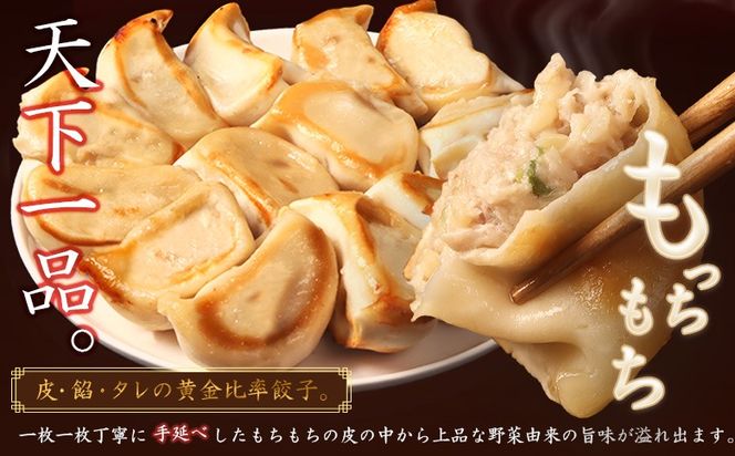 【定期便：6回】【なかしべつミルキーポーク100％使用】 樹苞 お城餃子36個（約9人前）【53016】