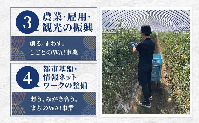 北海道 富良野市 寄附のみの応援受付 35,000円コース（返礼品なし 寄附のみ 35000円）