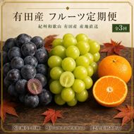 【8・9・12月 全3回】紀州和歌山産旬のフルーツセット（巨峰・シャインマスカット・みかん） 定期便 AN051