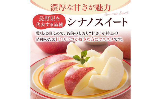 りんご シナノスイート 家庭用 約10kg  フルーツ 果物 甘い 訳あり おいしい 林檎