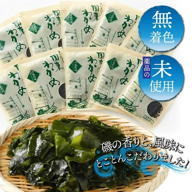 便利で嬉しい！国東カットわかめをおためし20パック_0005N-3