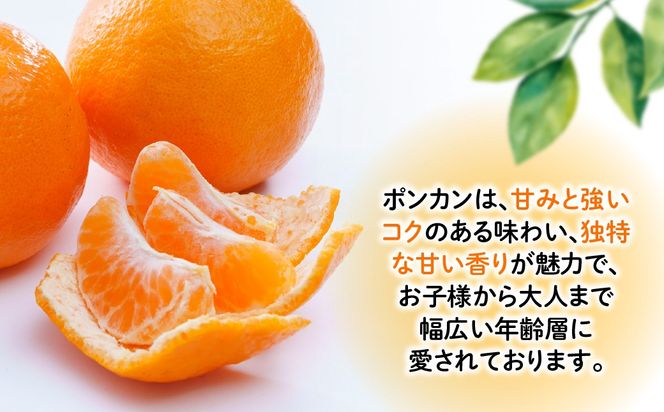 【先行予約】ポンカン「蜜る」　5㎏　（2027年1月中旬～2月中旬頃に順次発送）IKTBC014