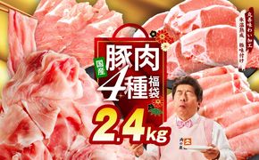 mrzZ071 【定期便】国産豚肉 4種 2.4kg×全2回【氷温熟成×極味付け 小分け 300gパック ぶたにく 普段使い 野菜炒め 切り落とし 訳あり サイズ不揃い 2026年2月＆5月発送】