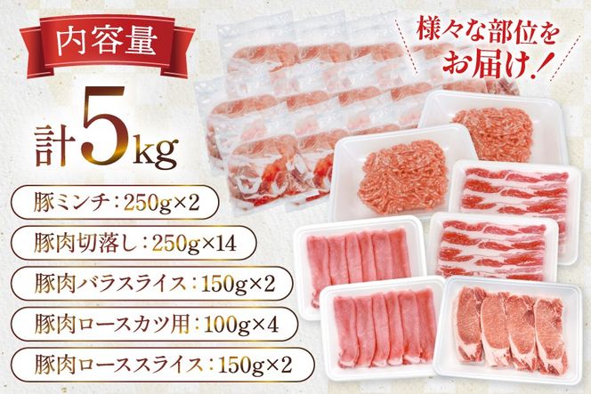 豚肉 宮崎県産豚肉 5kg 詰め合わせ セット [TRINITY 宮崎県 日向市 452061325] 小分け 豚 肉 宮崎 ロース スライス 豚バラ とんかつ 切り落とし ミンチ 豚ミンチ ひき肉 真空パック