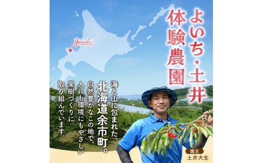 北海道余市町産 太陽の恵み 果汁100% りんごジュース  1L×10本入り 有機栽培 ストレート果汁_Y127-0013					