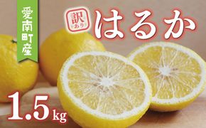 数量限定 先行予約 訳あり はるか 1.5kg 5000円 お試し 少量 みかん mikan 蜜柑 ミカン 国産 産地直送 農家直送 期間限定 特産品 ゼリー ジュース アイス 等に わけあり 人気 限定 フルーツ 果物 柑橘 甘い おいしい ジューシー お取り寄せ ギフト プレゼント サイズ ミックス あいなんマザーズ 愛南町 愛媛県