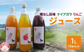 種無し巨峰 ナイアガラ りんごジュース1L×3本セット フルーツ 長野県