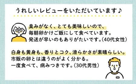 《月2回 × 20個 × 12ヶ月コース》てつやとのりこの玉子 全24回定期便 糸島市 / 板垣ファーム 卵 たまご 玉子 鶏卵 卵かけご飯 便利 定期便 定期購入 [AWD014] ランキング 上位 人気 おすすめ