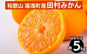 【先行予約】 田村みかん 約5kg 【Mサイズ】 和歌山県 湯浅町 田村地区産