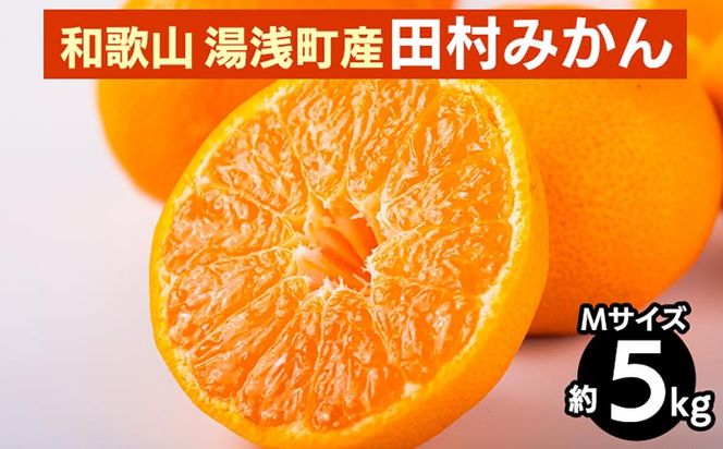 【先行予約】 田村みかん 約5kg 【Mサイズ】 和歌山県 湯浅町 田村地区産