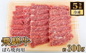 飛騨牛ばら焼肉用 約300g（5等級/冷凍） [No.211]