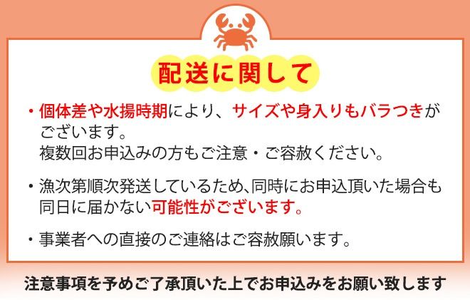 【おすすめ】香箱がに4～6尾（計約600g） ※2026年11月～発送