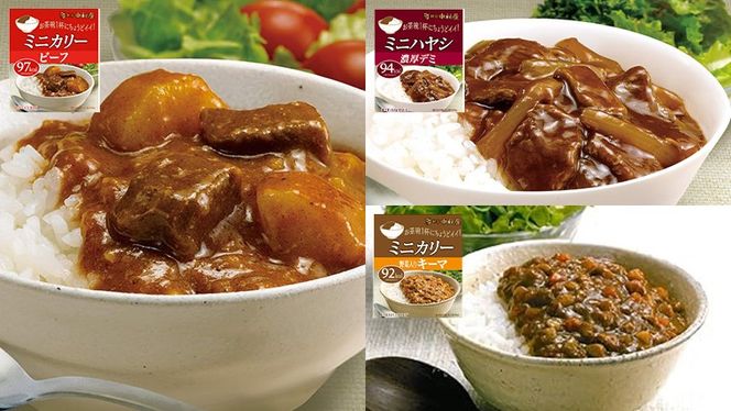 【 定期便 全3回 隔月 お届け 】新宿 中村屋 レトルト 食べ比べ セット ( Bセット 17種 ) 人気 詰合せ 洋食 時短 カレー インドカレー ビーフカレー 欧風カレー 数量限定 贈答品 保存用 ストック用 非常用 老舗 電子レンジ 調理可 [DM006us]