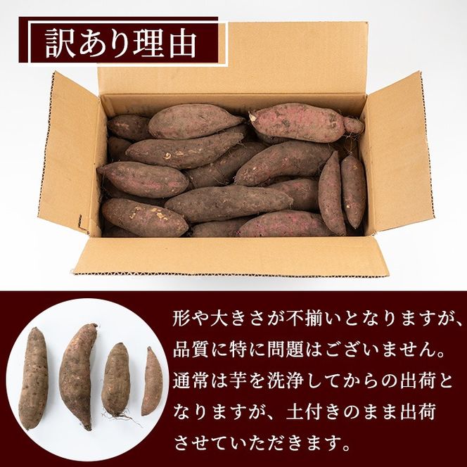 y̑Sǒzy0073609az󂠂聄̔_×VܐʓX̓yt(g͂邩E5kg)   Tc}C F  Ă  XC[cyLʁz